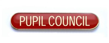 Pupil Council