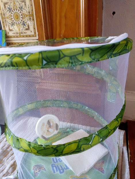 catterpillers cocoons teams